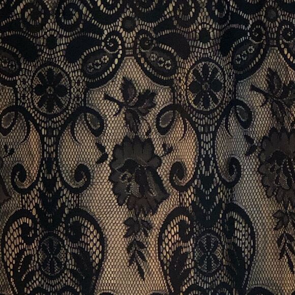 Sandra Darren Black Lace Overlay Tan Lining 3/4 Length Sleeves Sheath Dress 10 - Picture 2 of 7